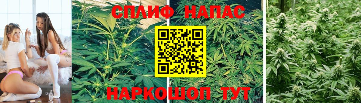 Каннабис Феодосия